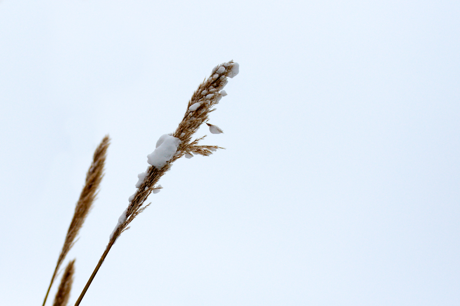 Inverno di Nicola Serena