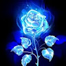 Rose Flower Wallpaper HD icon