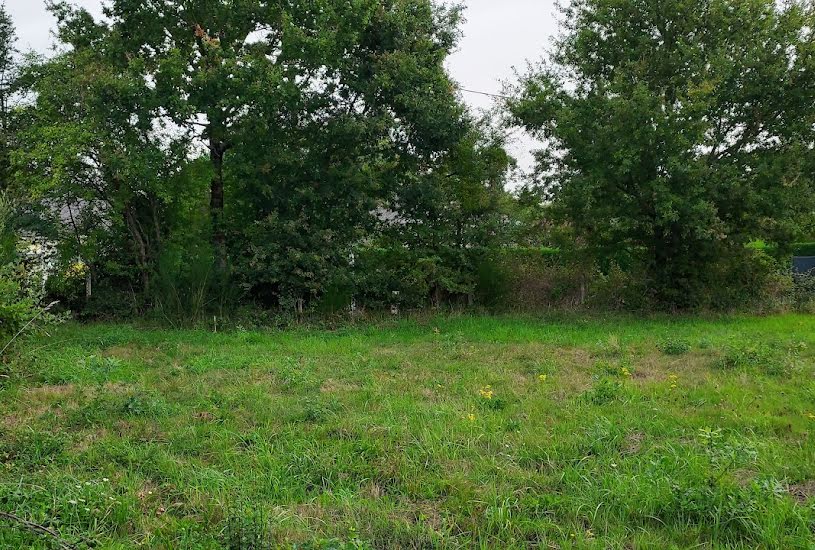  Vente Terrain à bâtir - 600m² à Arzal (56190) 