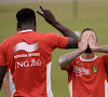 Lukaku et Defour absents contre Chypre