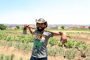 Co-founder of Urban Fresh Fazlur Pandor tills the land  in Alexandra where fresh produce  is grown and sold  to several organisations,  government and small shops around Gauteng. 