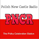 Polish New Castle Radio Install on Windows