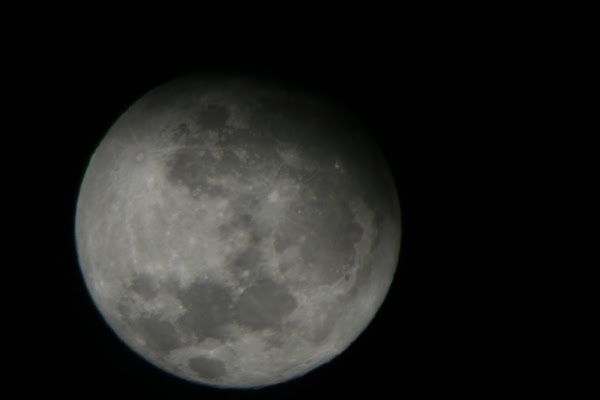 Luna d'inverno di Lupo81