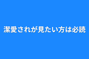 潔愛されが見たい方は必読