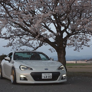 BRZ ZC6