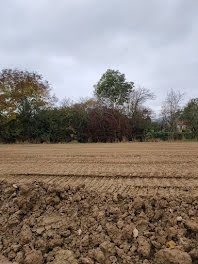 terrain à Vandieres (54)