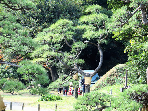 Wandering Tokyo by Land & Sea Japan 2017