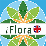 iFlora - Flora of Great Britain and Europe Apk