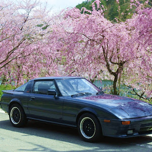 サバンナ