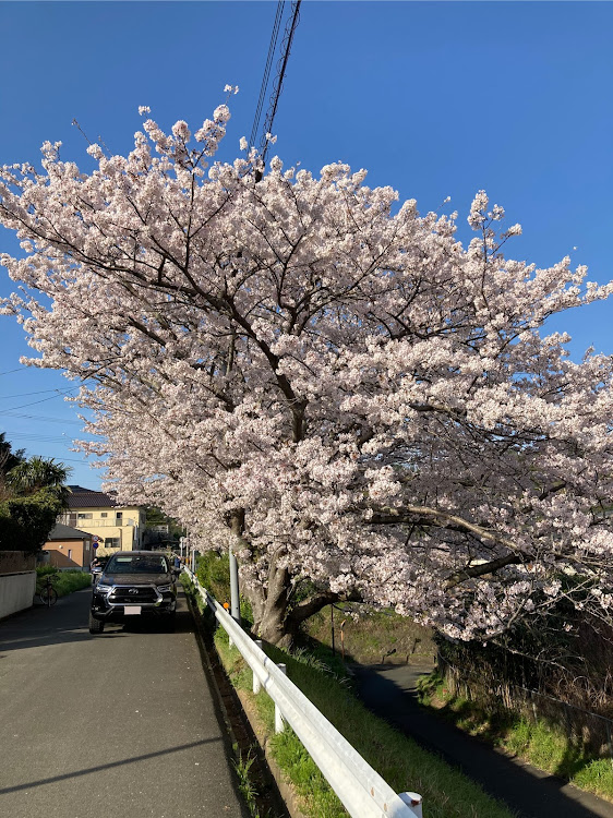 の投稿画像3枚目