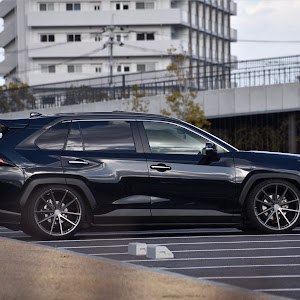 RAV4 MXAA54