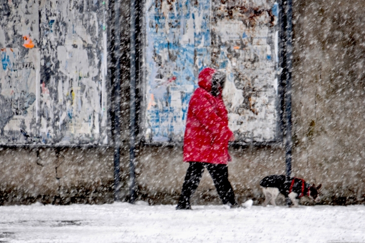 D'inverno.. di AlfredoNegroni