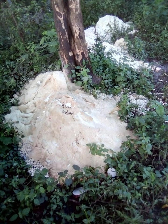 Waste dumped inside Ololua Forest.