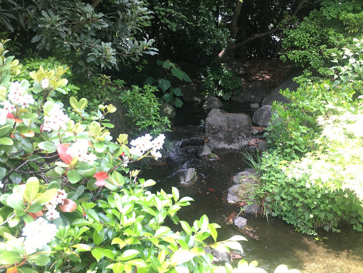 コペンの初夏の花🌸便り祭り!第十弾!初夏を大いに楽しみましょう！・幸せは自分自身で見出す物で他人から与えられる物では有りません！最高だね！・貧乏しても心❤️の貧乏人には成りたく無いですね！最高だね！・妬み!僻み!は持たず!心❤️豊かに過ごしましょう!最高だね！・人は人です!自分の納得出来る生き方をしましょう!最高だね！に関するカスタム事例の投稿画像75枚目