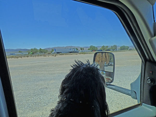 Rest Area, I-40 just before Barstow, CA