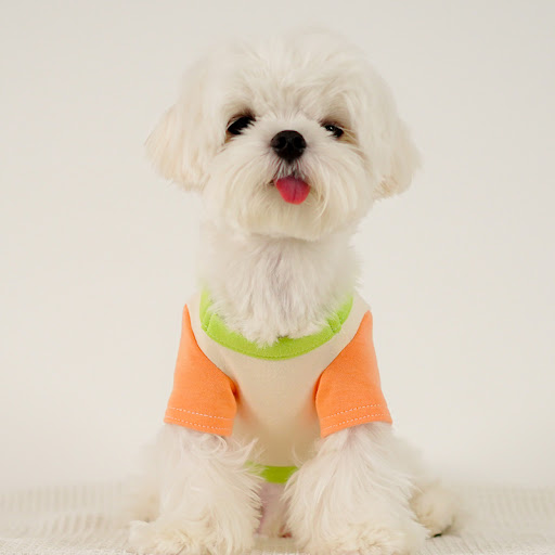 Title 2, Puppy Dog Colour Clash Home Wear Bottom Shirt C...
