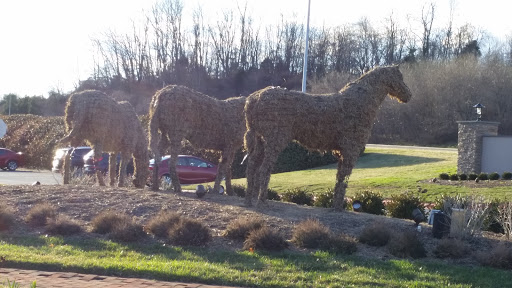 Wire Horse Sculptures