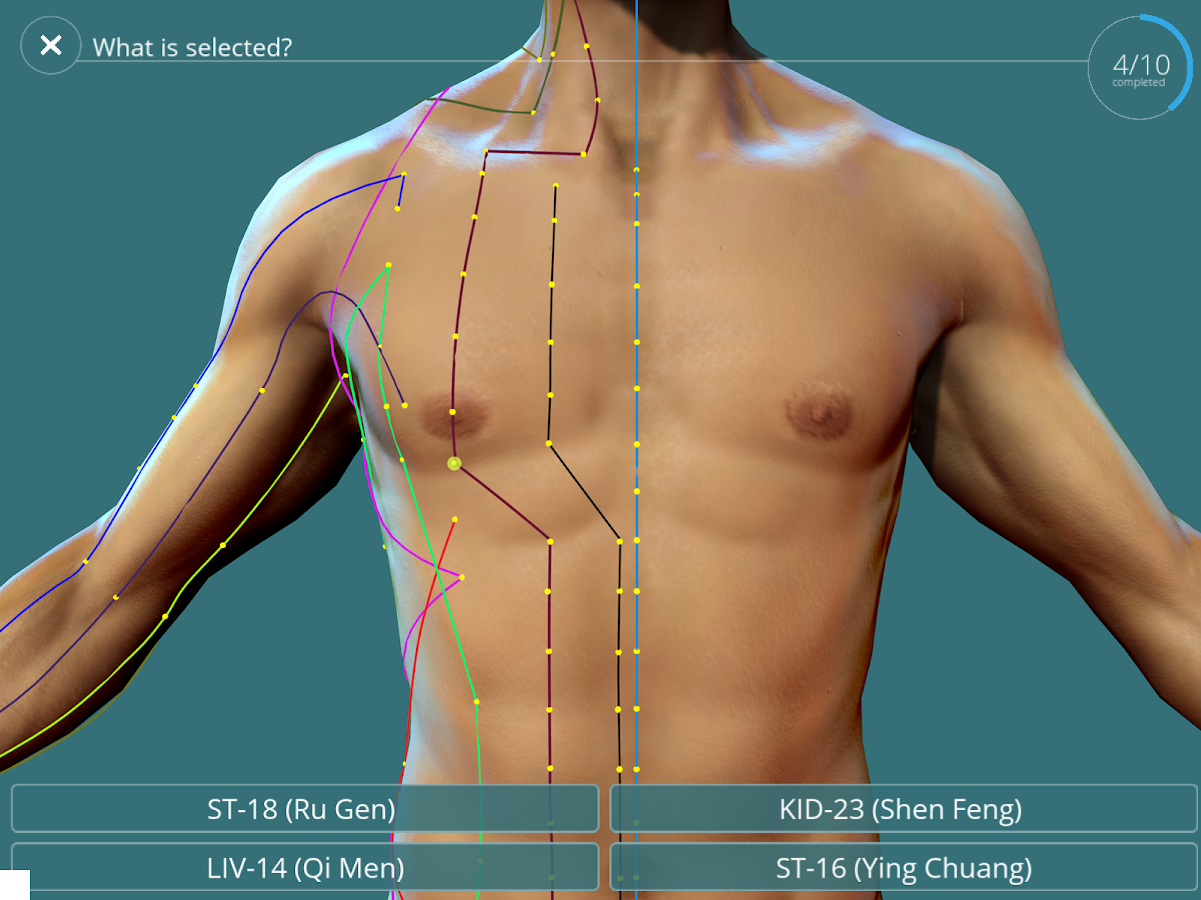 Visual Acupuncture 3D Android Apps on Google Play