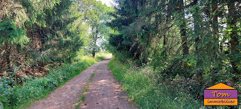 terrain à Petit-Croix (90)