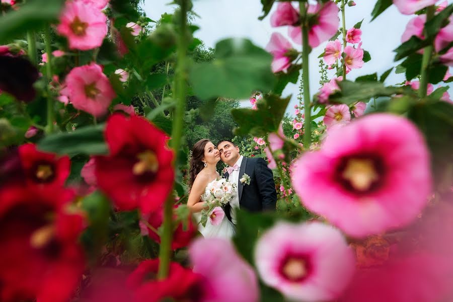 Wedding photographer Olga Nikolaeva (avrelkina). Photo of 19 October 2017