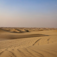 The desert di 