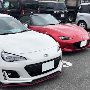 BRZ ZC6