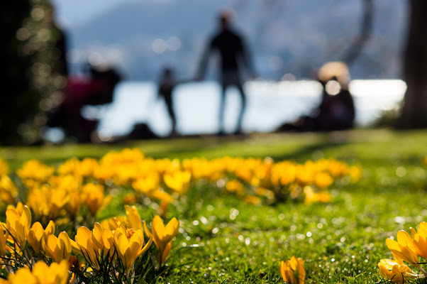 E' primavera e si va a spasso! di mariateresatoledo