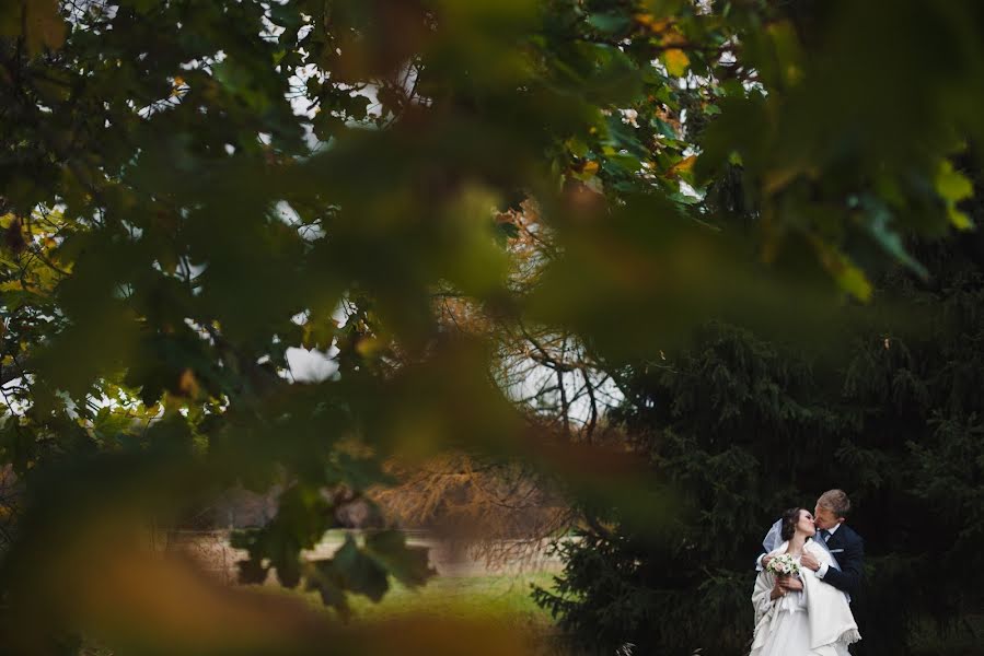 Fotógrafo de bodas Olga Timofeeva (olgatimofeeva). Foto del 12 de octubre 2015