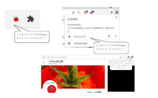 brave_tip_trip