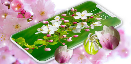 Cherry Blossom 3d Wallpaper Spring Wallpaper Aplikasi