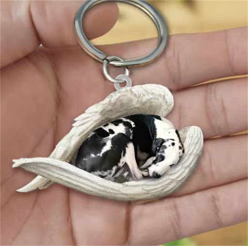 Title 42, Creative Sleeping Angel Pet Keychain Pendant A ...