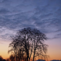 Le patriarche se découpant sur  le ciel di 