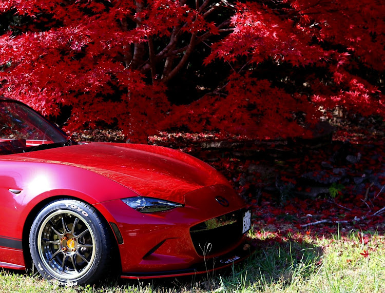 ロードスターの紅葉と愛車・紅葉コラボ・SSR SP5Rに関するカスタム事例の投稿画像2枚目