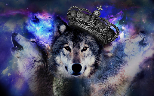Wolf Animal Live Wallpaper