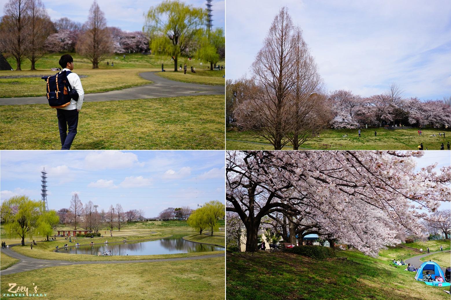 公園 二 大宮 第