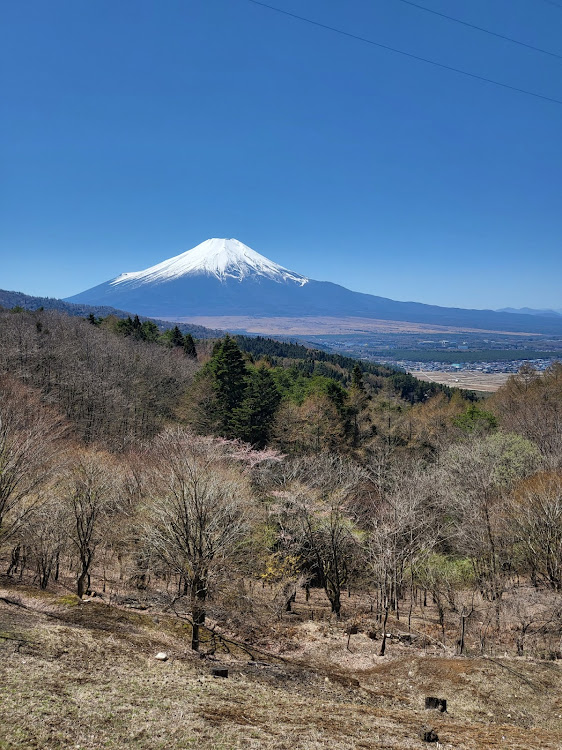 の投稿画像4枚目