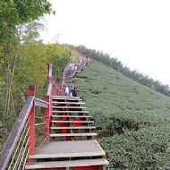 嘉義梅山二尖山休閒茶園