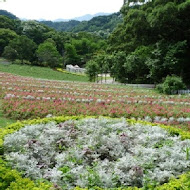 大溪花海農場