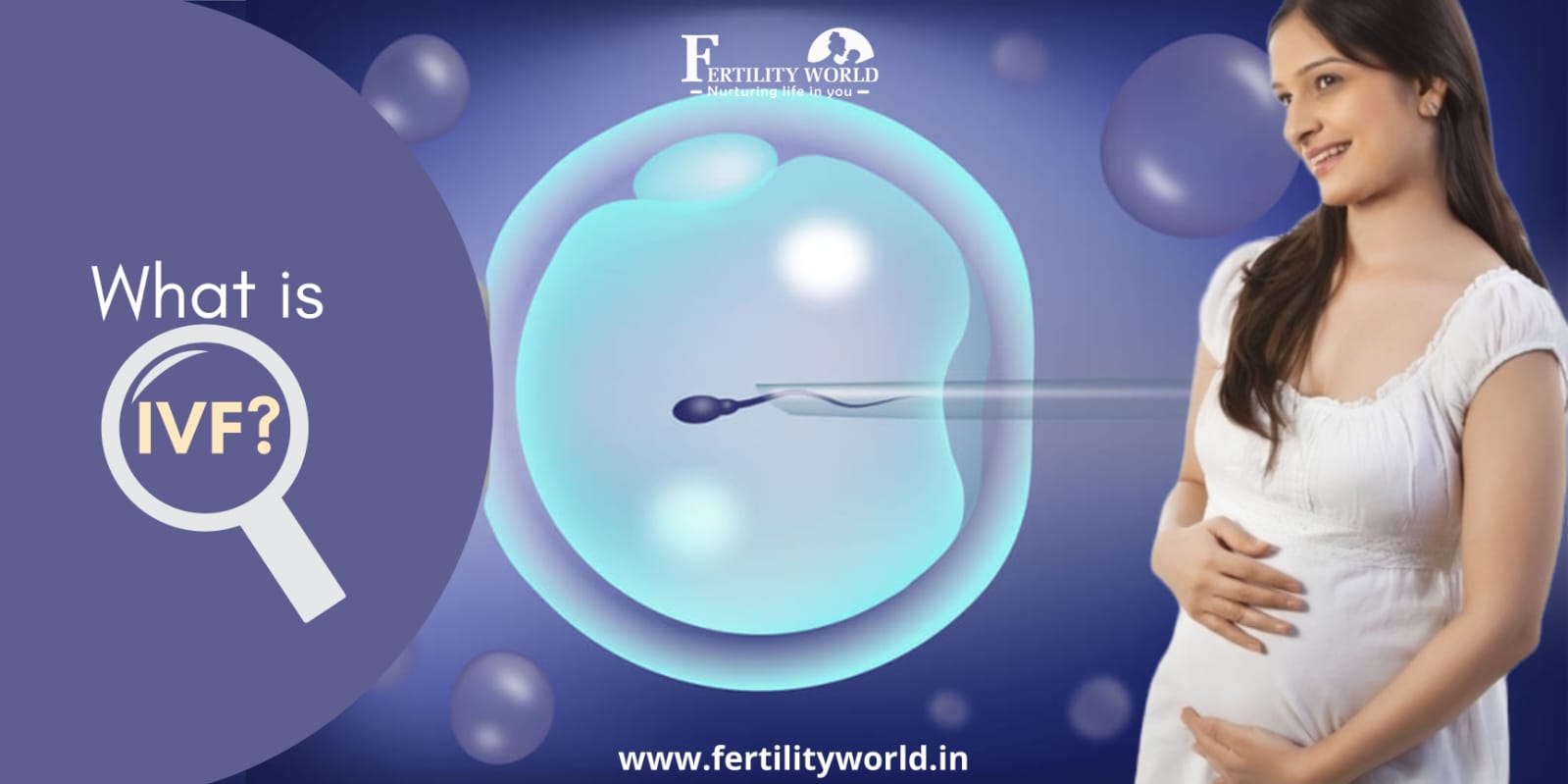  In Vitro Fertilization (IVF)