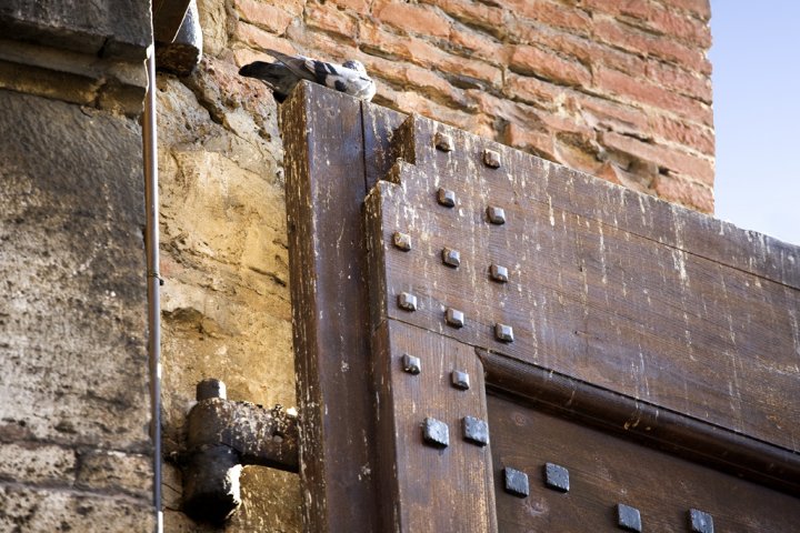 Relax mattutino di ciappy