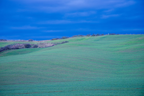 Terra a Siena di muneta74