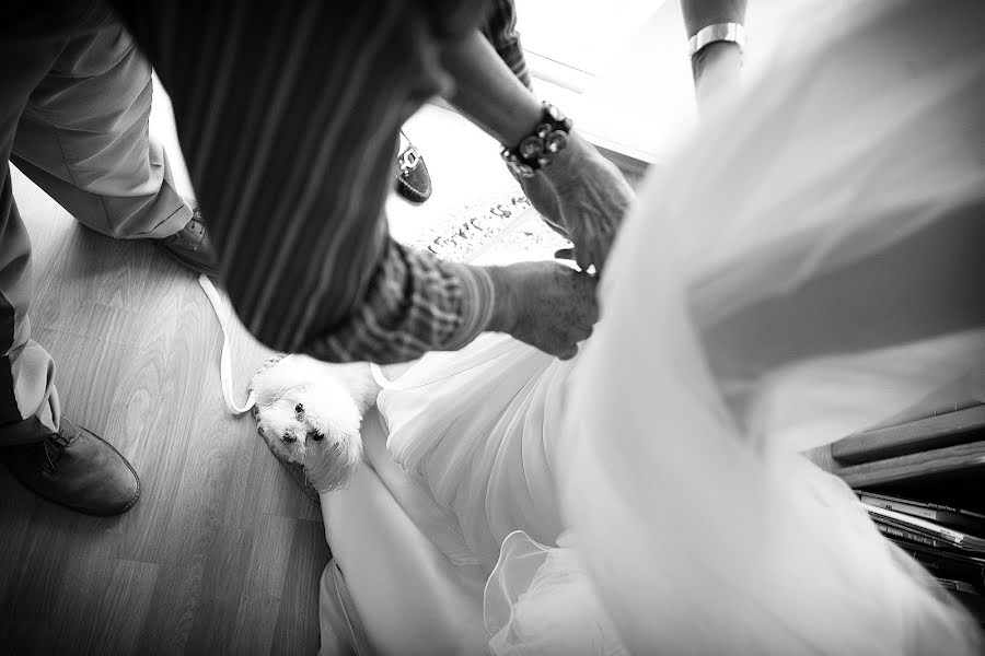 Fotógrafo de casamento Alina Zardo (zardoalina). Foto de 13 de janeiro 2014