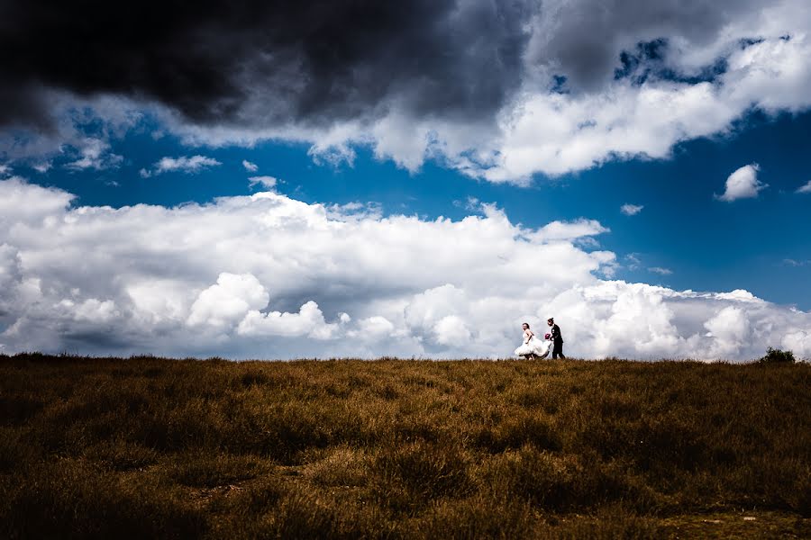 Fotógrafo de casamento David Hallwas (hallwas). Foto de 24 de maio 2017