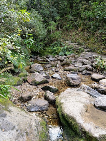 Pinnacles Walk via Webb Creek stream crossing