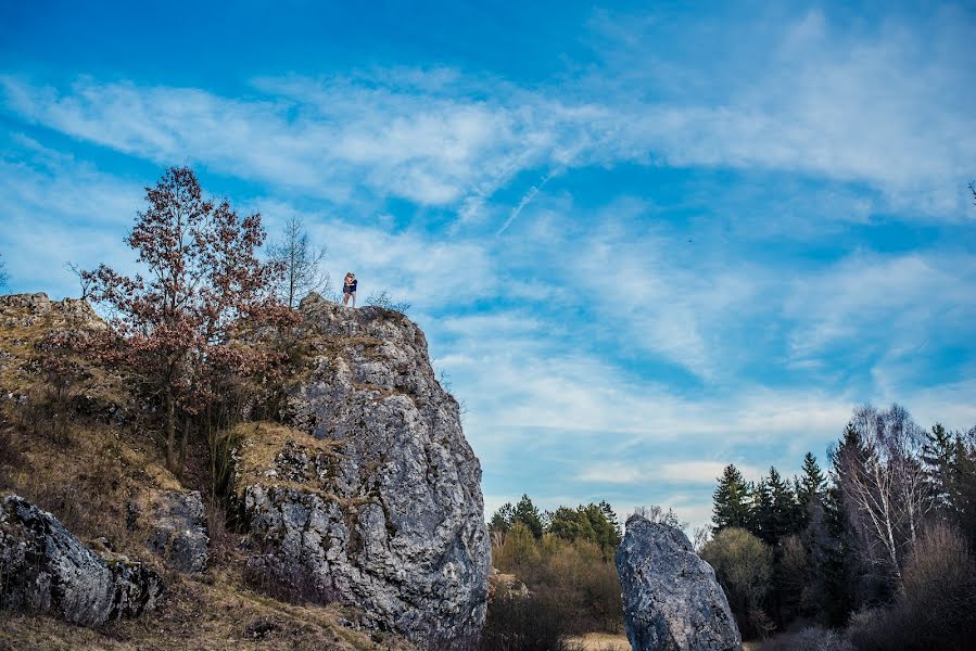 Fotograful de nuntă Petr Hrubes (harymarwell). Fotografia din 10 aprilie 2018