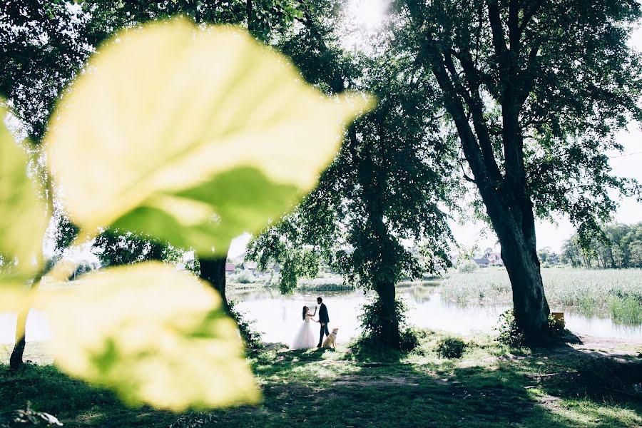 Hochzeitsfotograf Eva Kosareva (kosareva). Foto vom 17. Juli 2017