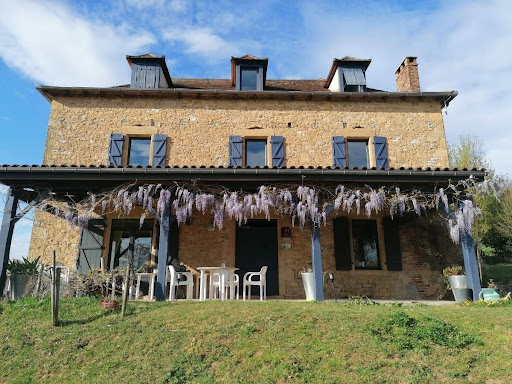 House with pool 2