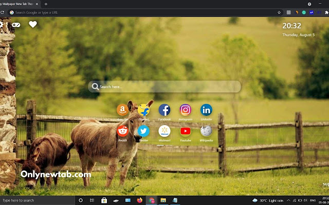 Donkey Wallpaper New Tab Theme