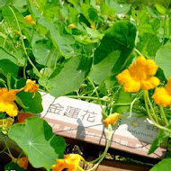 薰衣草森林(新竹尖石店)