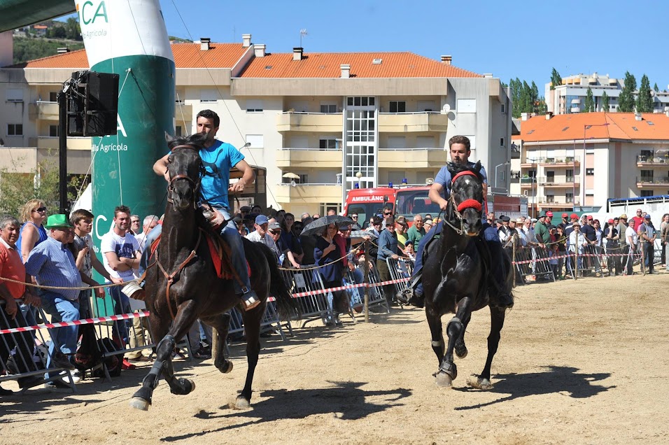 Fotos da Feira de Santa Cruz - 3 de Maio